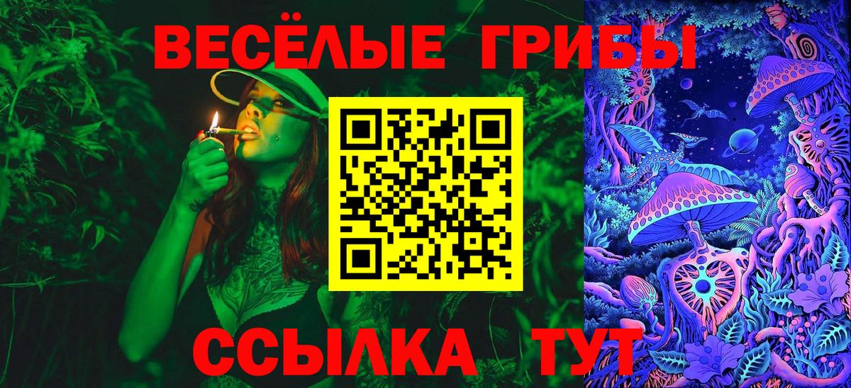 Псилоцибиновые грибы Psilocybine cubensis  где можно купить   Минеральные Воды  Вход с VPN 